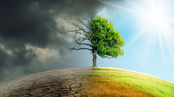World Earth Day: online seminar to convene global climate change experts