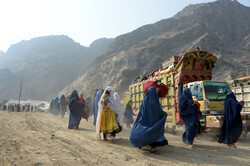 Afghan