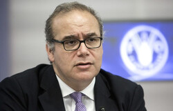 Maximo Torero, chief economist and assistant director-general for the Economic and Social Development Department at the Food and Agriculture Organization of the United Nations
