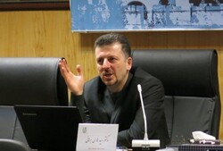 Hadi Borhani
