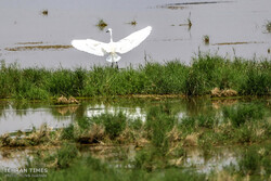Discover a paradise of migratory birds in the heart of barrenness!