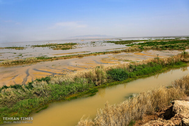 Discover a paradise of migratory birds in the heart of barrenness!