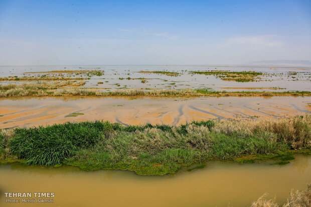 Discover a paradise of migratory birds in the heart of barrenness!