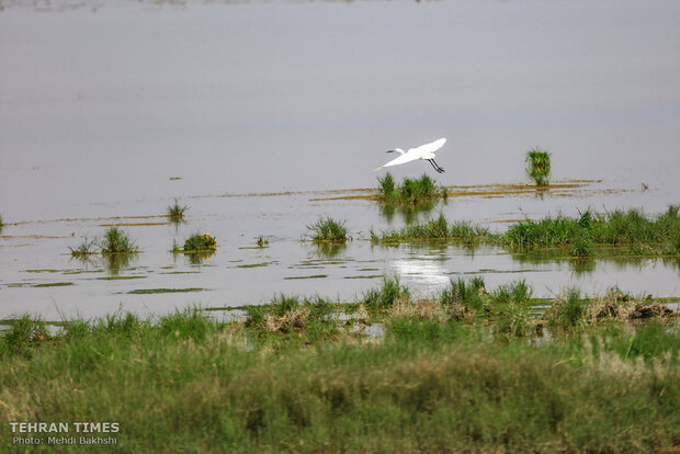 Discover a paradise of migratory birds in the heart of barrenness!