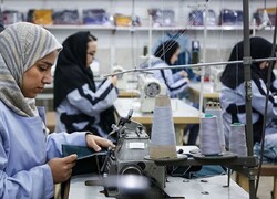 UNDP supports empowerment of Iranian women-headed households amid COVID-19