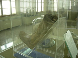 Left shoe with lower leg of “Salt Man 1”on display at the National Museum of Iran in downtown Tehran.