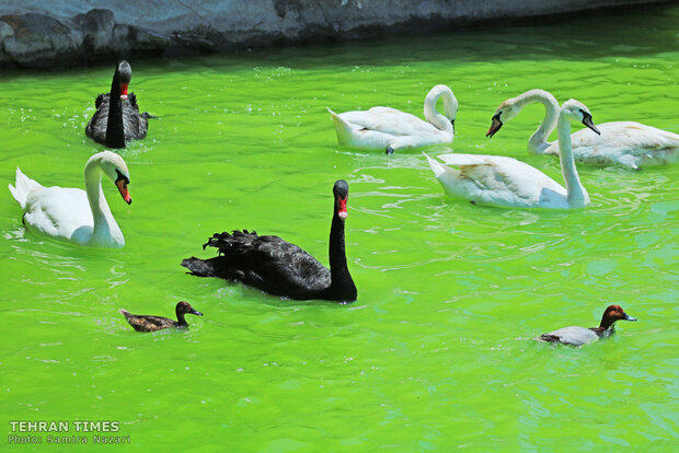 Experience wildlife in safe, friendly and educational environment near Tehran