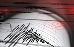Magnitude 4 quake hits Tehran province