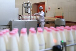 World Milk Day: drink healthy milk, fight coronavirus