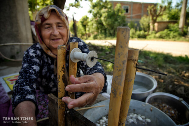Iranian silkmakers spin a niche to sustain millennia-old industry