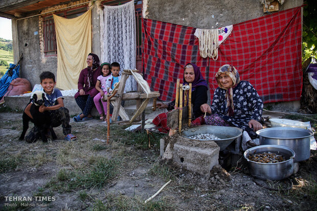 Iranian silkmakers spin a niche to sustain millennia-old industry