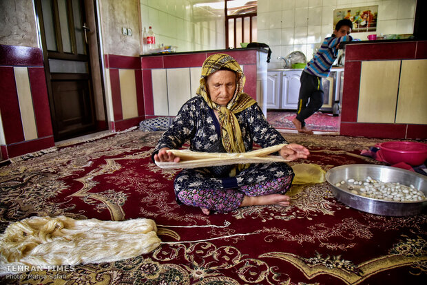 Iranian silkmakers spin a niche to sustain millennia-old industry