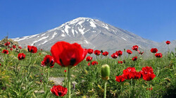 Prominent Mount Damavand struggling environmental issues