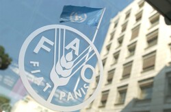 FAO shares international expertise with Iran in Early Warning Early Action systems