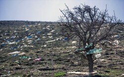 Iran takes step to reduce plastic bags