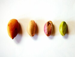 Pistachio hull is a source of health benefits