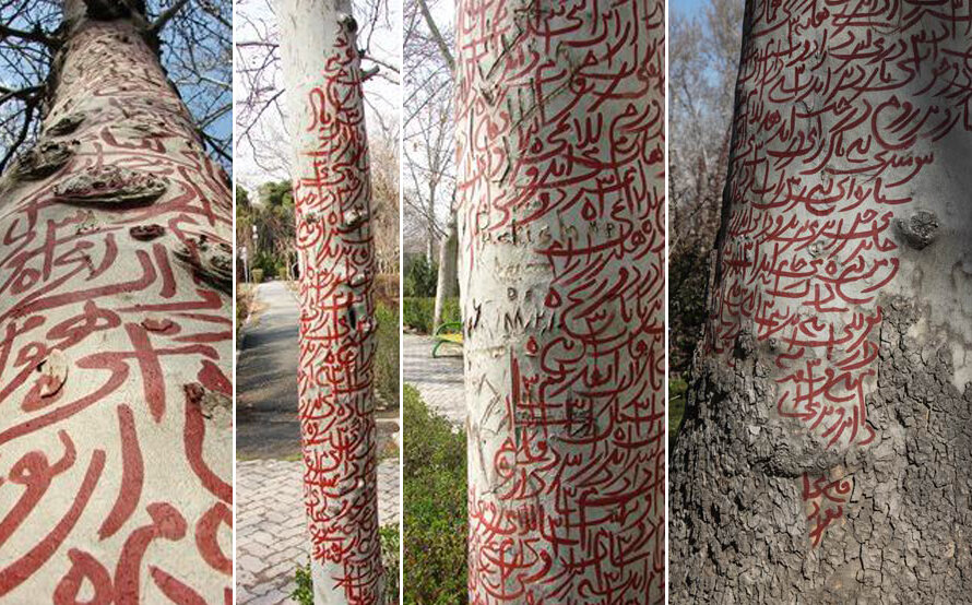 land art trees