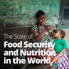 FAO, IFAD, UNICEF, WFP, WHO: hunger increases worldwide, Zero Hunger by 2030 in doubt