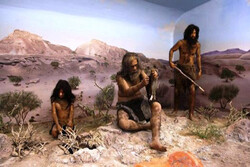Neanderthal-era tooth to go on show in Qazvin