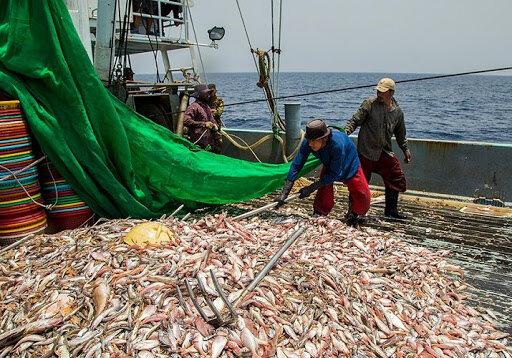 Chinese Fishing Trawlers Cleaning Out The Persian Gulf, Iran Daily Reports