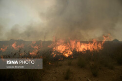 Wildfire burns 340ha of Miankaleh wildlife sanctuary