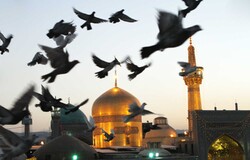 Pilgrimage to holy shrine of Imam Reza (AS) added to cultural heritage list
