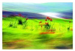 * “Color… Sonnet… Rain”, a collection by photographer Robert Shahbazi, is currently on display in an exhibition Aban Art House.