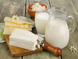 dairy exports