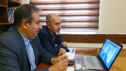 Iran, Ireland national museums discuss ways to broaden ties