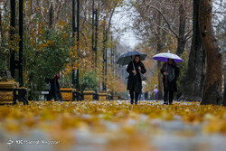 Autumn seen with lower than normal rainfall