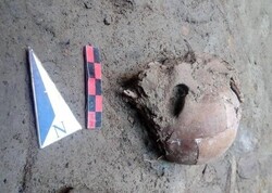 Deformed skull of ancient human unearthed in Isfahan