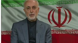 Ali Akbar Salehi, president of the Atomic Energy Organization of Iran
