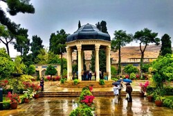 Shiraz