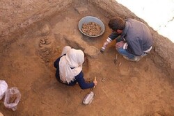 Eighth archaeological season begins at Tepe Rivi without German experts