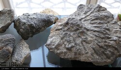 Museum of Rocks and Fossils in Sangsar