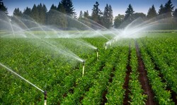 FAO holding eLearning program on Real Water Savings in Iran