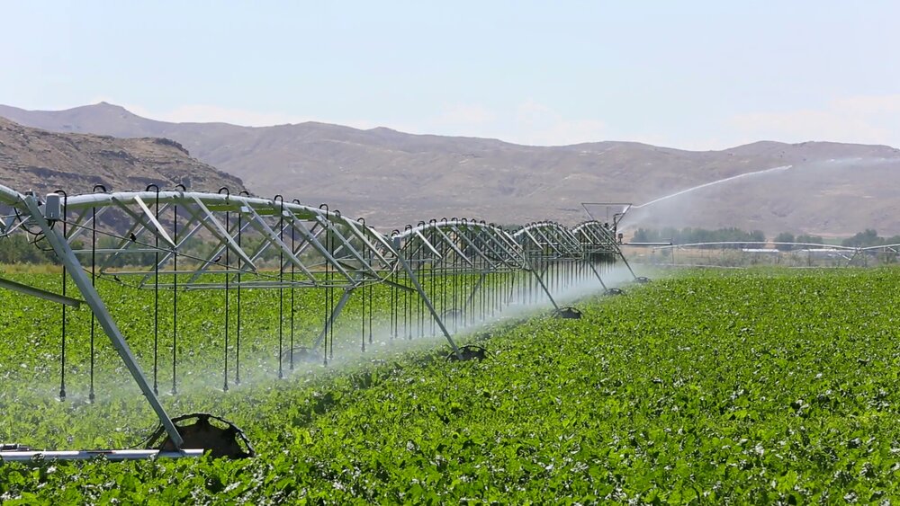 Modern Irrigation Systems Implemented In 185 000 Hectares Of Farmlands Tehran Times