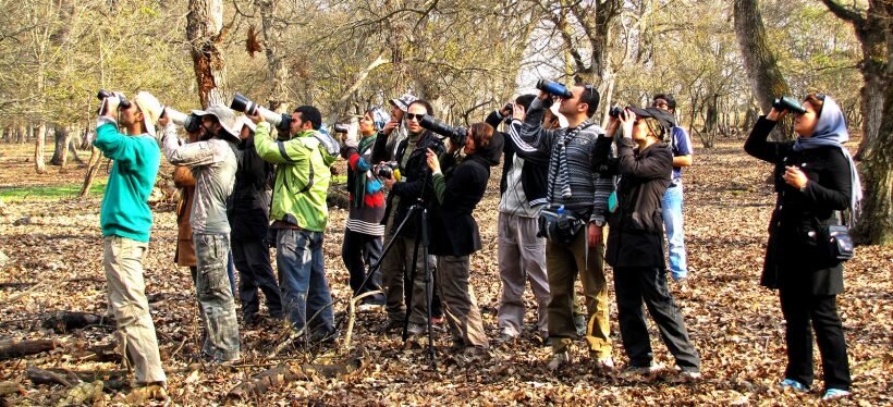 Webinar to explore bird-watching in Iran
