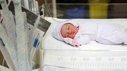 Iran's demographic issue: fertility reaches lowest rate in 8 years