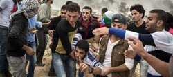 “Gaza”