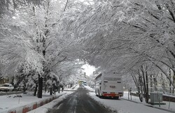 Snow, heavy rain hit most parts of Iran