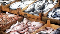 Fishery export