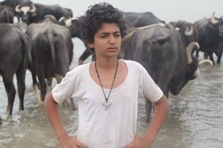 “The American Bull” by Iranian filmmaker Fatemeh Tusi.