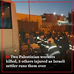 Two Palestinian workers killed, 5 others injured as Israeli settler runs them over