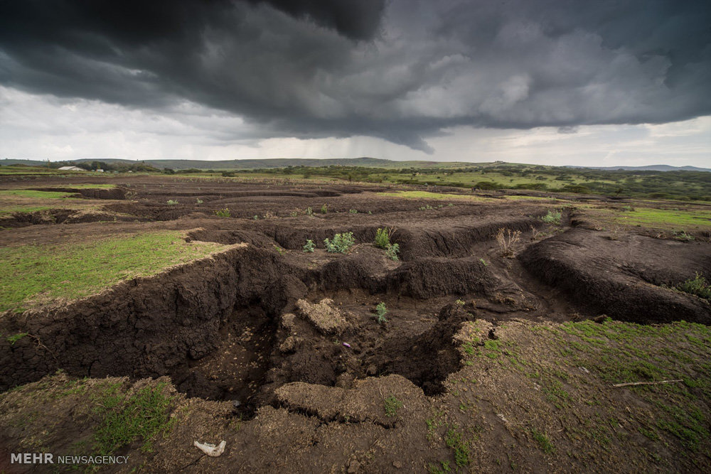 Soil Depletion Meaning In Hindi