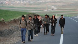 Iran among top 20 Asian migrant countries
