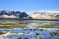Gandoman wetland hosting 30,000 migratory birds