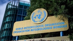 Iranian experts appointed members of WMO