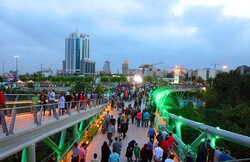 Tabiat Bridge