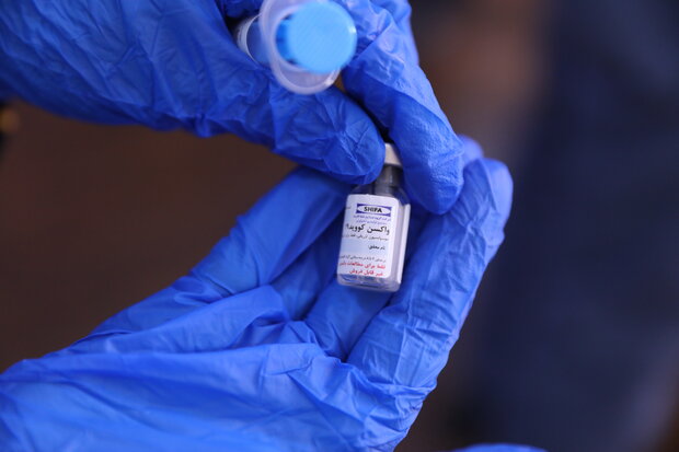 Iran tests first domestic coronavirus vaccine 